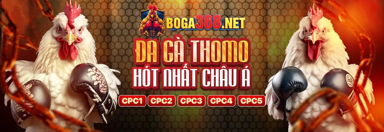 Định nghĩa và cơ chế hoạt động của Cookies