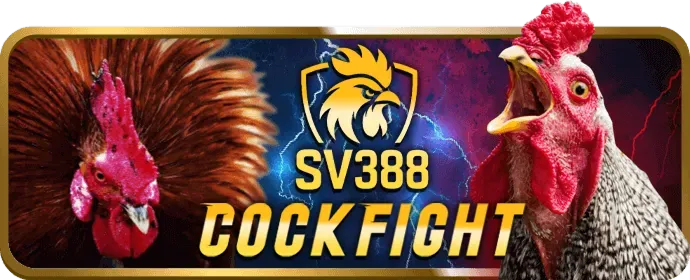 Cá cược thể thao trên mu8888 app